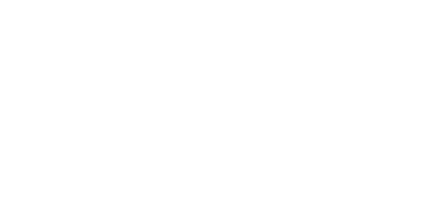 Icaro Top